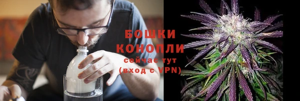 гидра Бородино