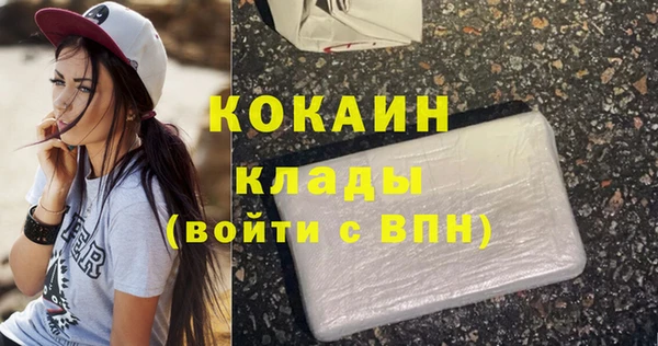 гидра Бородино
