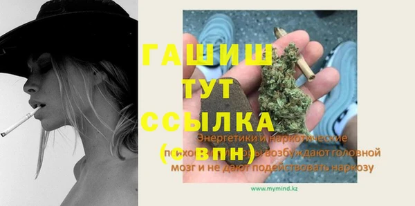 гидра Бородино