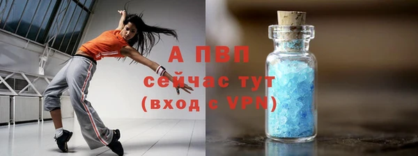 гидра Бородино