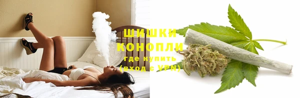 гидра Бородино