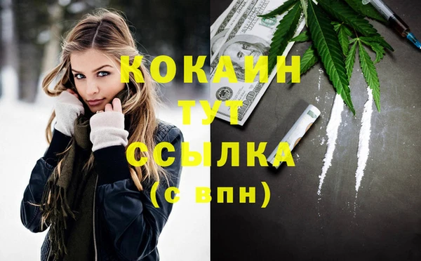 гидра Бородино